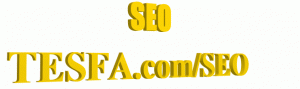 SEO Search Engine Optimizing - Tesfa